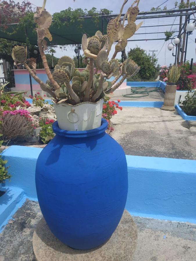 Bella Casa Kolympia *