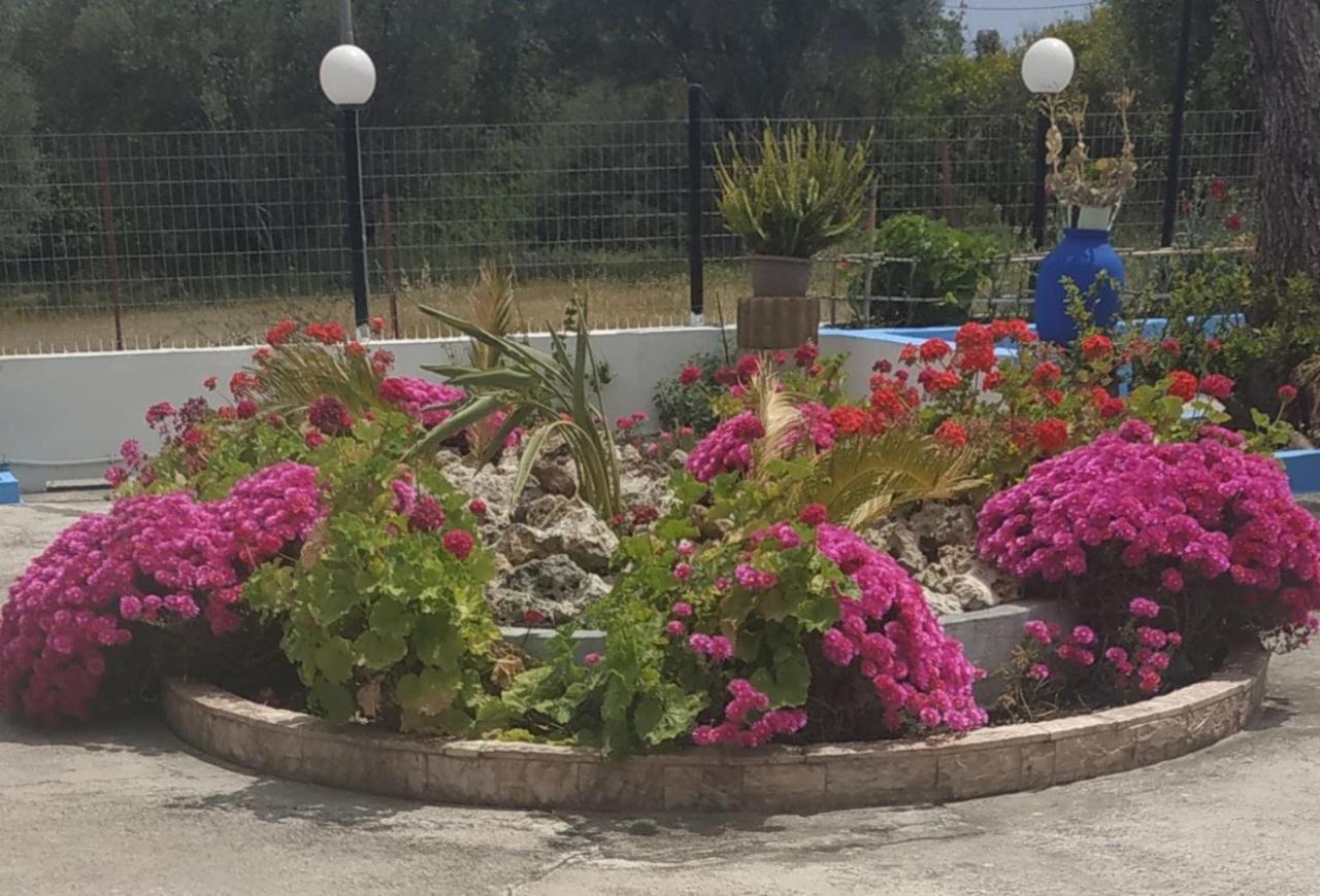 Bella Casa Kolympia *